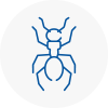 Ant Removals In Rainworth