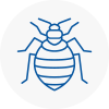Bed Bug Extermination In Rainworth
