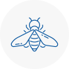 Bee Nest Removal Rainworth