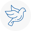 Bird Prevention Rainworth
