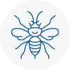 Rainworth Hornet Nest Removals