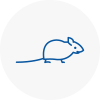 Mice Exterminators In Rainworth