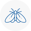 Moth Control Specialists In Rainworth
