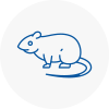 Rat Control Rainworth
