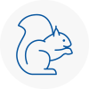 Rainworth Rodent Removals